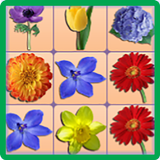 Onet Flower Challenge icône