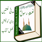 naat in urdu book icône