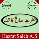 Hazrat Saleh AS APK