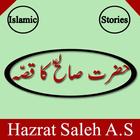 Hazrat Saleh AS ikon