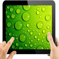 Green Wallpaper