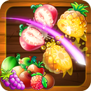 Fruit Splash APK