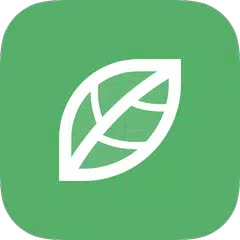 Descargar APK de Green VPN - 官方出品，专业免费VPN