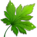 Greeny app