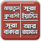 আয়াতুল কুরসী, ইয়াসিন, আর রহমান icon