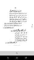 Baba Bulleh Shah ภาพหน้าจอ 3