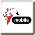 DRAM Mobile