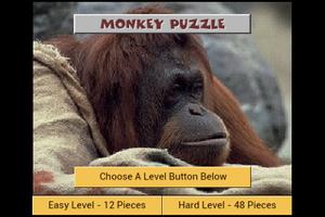 Monkey Puzzle Affiche