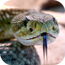 GO Snake - snake game APK