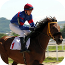 Jump Race Horse Racing APK