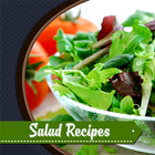 Diet Salad Recipes icône