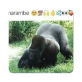 Memes of Harambe