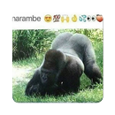 Memes of Harambe APK