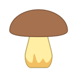 Справочник грибника: фото съедобных грибов