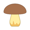 Справочник грибника: фото съедобных грибов