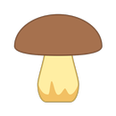 Справочник грибника: фото съедобных грибов APK
