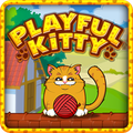 Playful Kitty