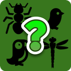 Guess Animals Icon 图标