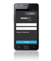 Grobonet / Lubin постер