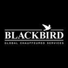 Blackbird icône
