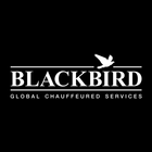 Blackbird icon