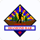 BSA Troop 730 - Diamond Bar APK