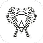 Venom Allstars icon