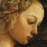 Angelus আইকন