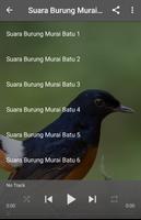 Suara Burung Murai Batu screenshot 3