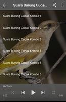 Suara Burung Cucak Kombo Affiche