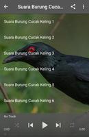 Suara Burung Cucak Keling capture d'écran 2