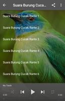 Suara Burung Cucak Rante ภาพหน้าจอ 3