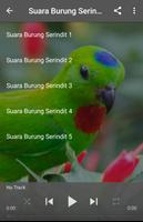 Suara Burung Serindit Affiche