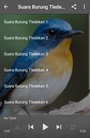 برنامه‌نما Suara Burung Tledekan عکس از صفحه