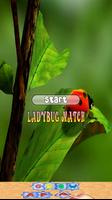 Ladybug Game for Children FREE Affiche