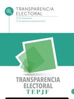 Justicia Electoral imagem de tela 2