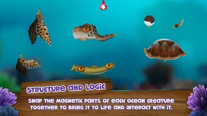 Appy Oceans Arabic XAPK download