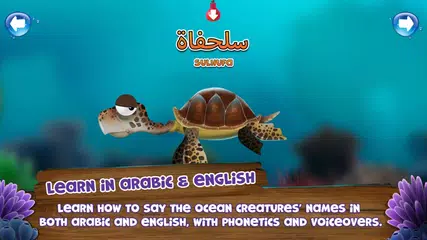 Appy Oceans Arabic XAPK download