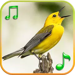 Птицы Звуки Мелодии