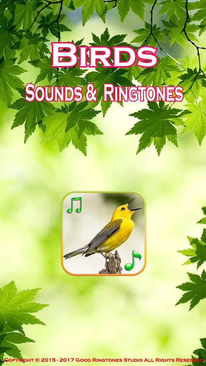Рингтон bird. Игры звуки птиц. Звук птичек. Привлечение птиц звук. Открытка со звуком птиц.