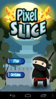 Ninja Slice Extreme Affiche