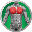 Качаем грудь – Тренировка для грудных мышц APK
