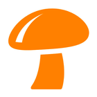 MyKo-Fungi StarTree icône