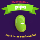 Pipa APP icône