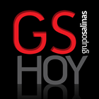 GS Hoy icon