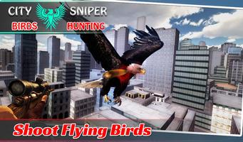 City Sniper Birds Hunting تصوير الشاشة 3