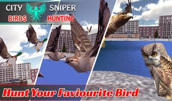 City Sniper Birds Hunting-poster