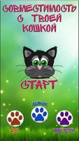 Тест: Совместимость с Вашей Кошкой Affiche