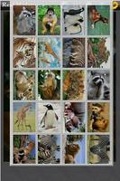 Real Madagascar capture d'écran 2