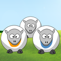 Talking Sheep